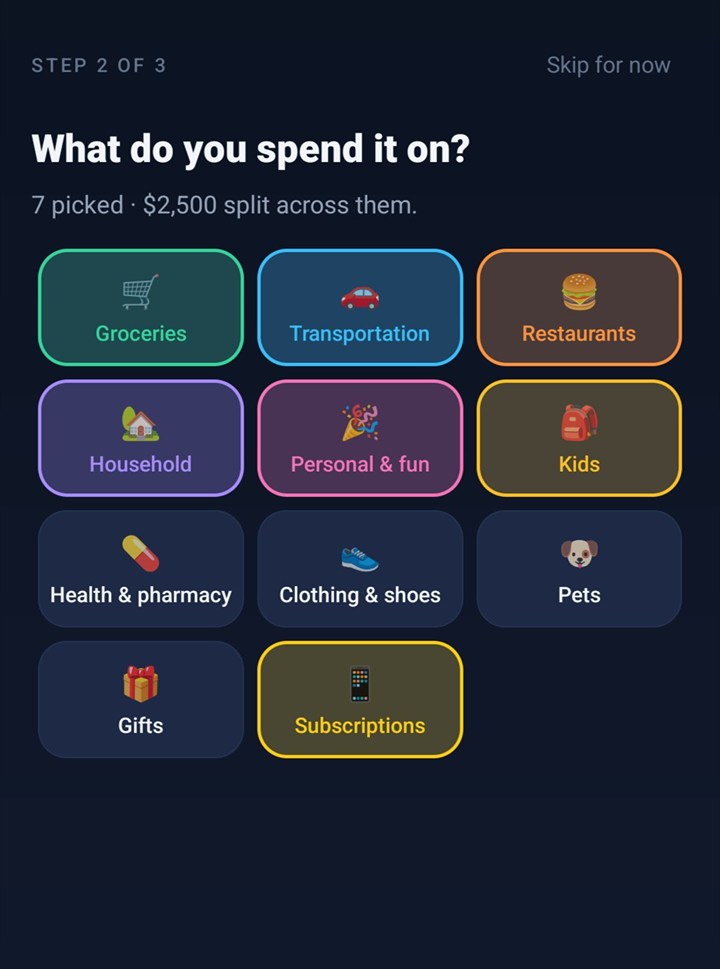 Setup screen asking 'What do you spend it on?' with category tiles like Groceries, Transportation, Restaurants, Household and Kids
